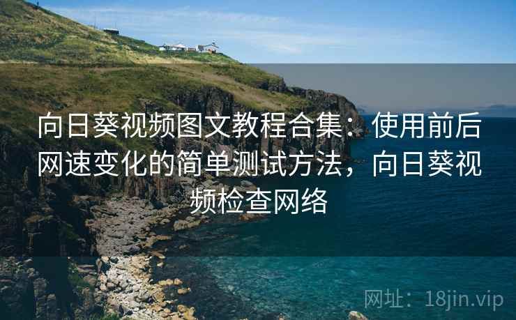 向日葵视频图文教程合集：使用前后网速变化的简单测试方法，向日葵视频检查网络