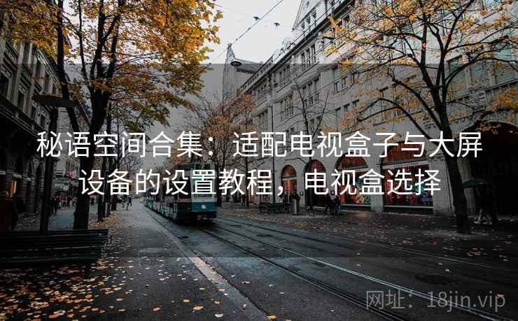 秘语空间合集：适配电视盒子与大屏设备的设置教程，电视盒选择