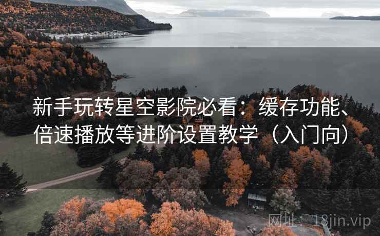 新手玩转星空影院必看：缓存功能、倍速播放等进阶设置教学（入门向）