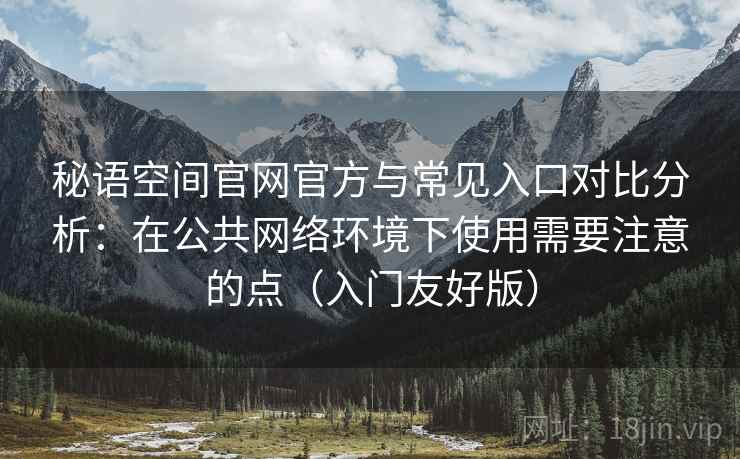 秘语空间官网官方与常见入口对比分析：在公共网络环境下使用需要注意的点（入门友好版）