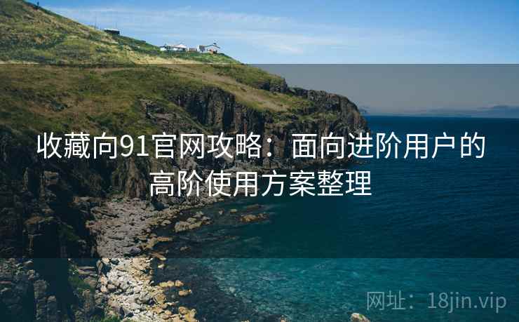 收藏向91官网攻略：面向进阶用户的高阶使用方案整理