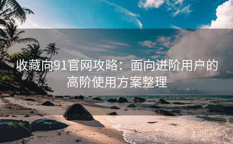 收藏向91官网攻略：面向进阶用户的高阶使用方案整理