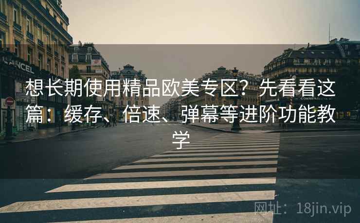 想长期使用精品欧美专区？先看看这篇：缓存、倍速、弹幕等进阶功能教学