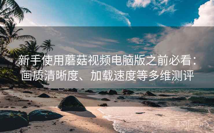 新手使用蘑菇视频电脑版之前必看：画质清晰度、加载速度等多维测评