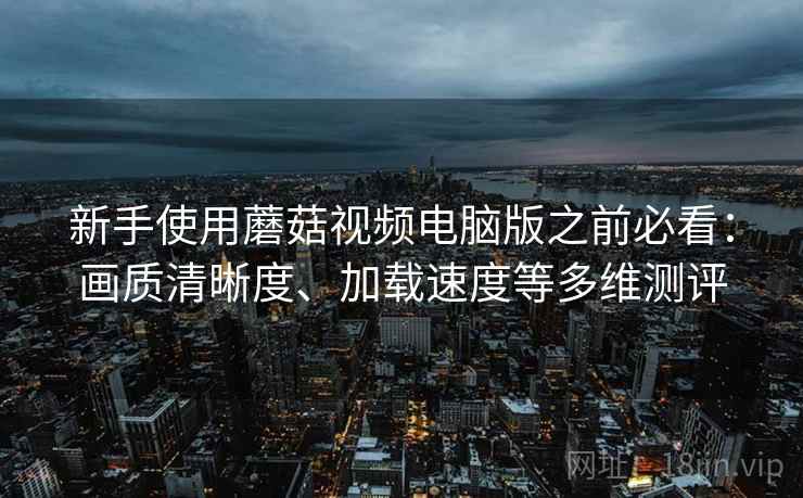 新手使用蘑菇视频电脑版之前必看：画质清晰度、加载速度等多维测评
