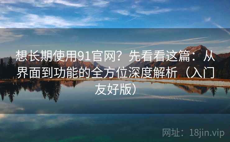 想长期使用91官网？先看看这篇：从界面到功能的全方位深度解析（入门友好版）