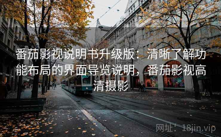 番茄影视说明书升级版：清晰了解功能布局的界面导览说明，番茄影视高清摄影