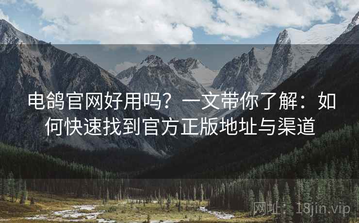电鸽官网好用吗？一文带你了解：如何快速找到官方正版地址与渠道
