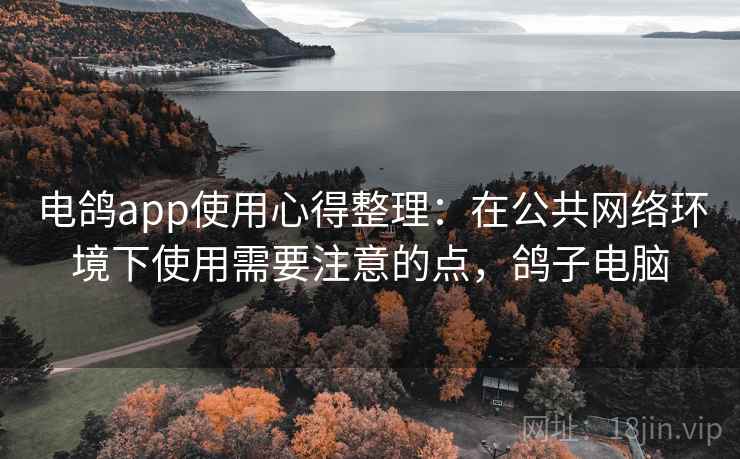 电鸽app使用心得整理:在公共网络环境下使用需要注意的点,鸽子电脑 电鸽app使用心得整理:在公共网络环境下使用需要注意的点,鸽子电脑