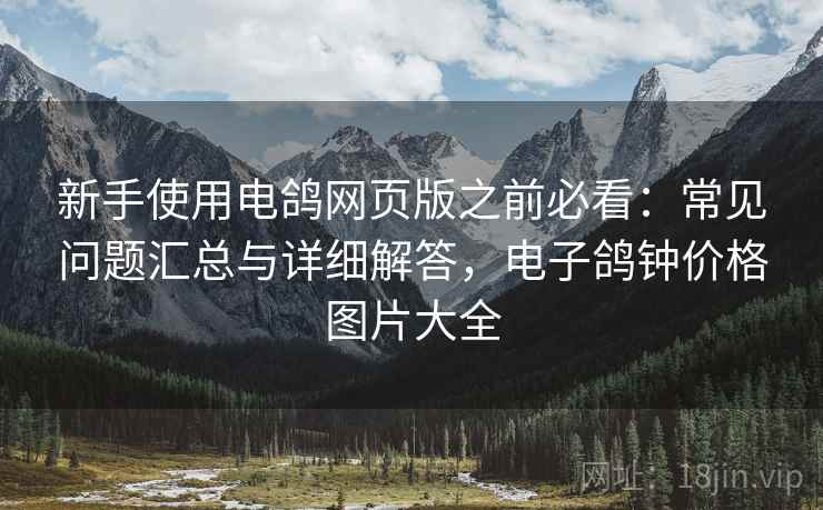 新手使用电鸽网页版之前必看：常见问题汇总与详细解答，电子鸽钟价格图片大全