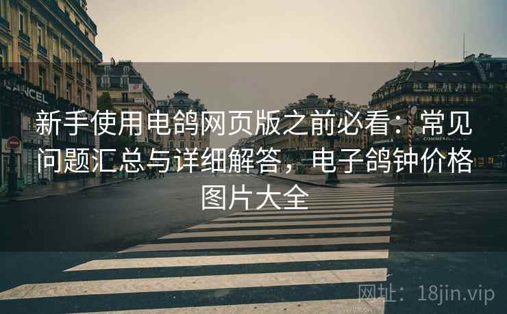 新手使用电鸽网页版之前必看：常见问题汇总与详细解答，电子鸽钟价格图片大全