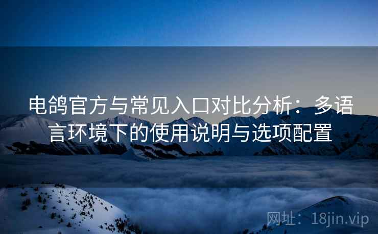 电鸽官方与常见入口对比分析：多语言环境下的使用说明与选项配置