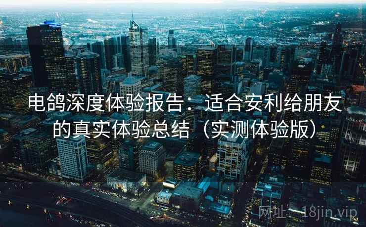 电鸽深度体验报告：适合安利给朋友的真实体验总结（实测体验版）