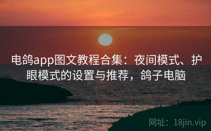 电鸽app图文教程合集：夜间模式、护眼模式的设置与推荐，鸽子电脑