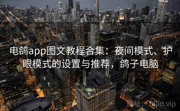 电鸽app图文教程合集：夜间模式、护眼模式的设置与推荐，鸽子电脑