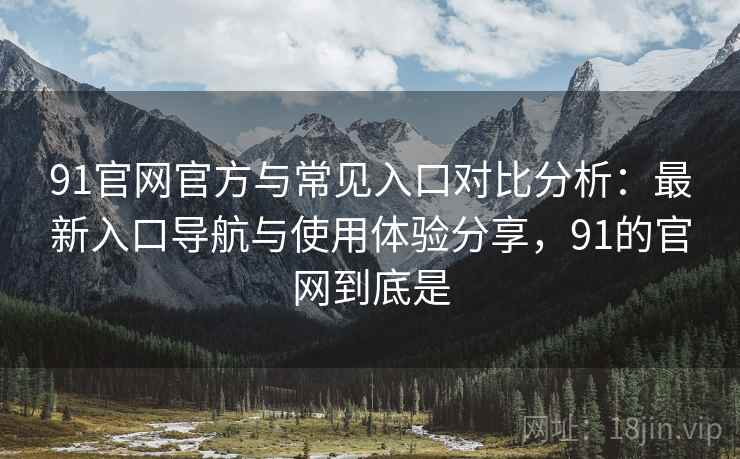 91官网官方与常见入口对比分析：最新入口导航与使用体验分享，91的官网到底是