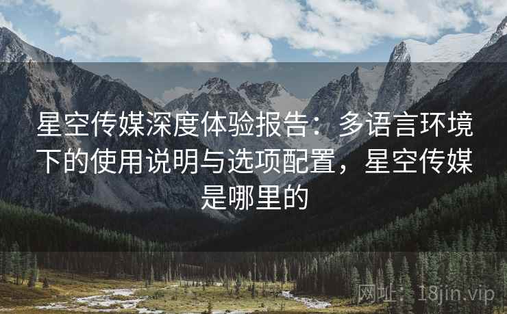 星空传媒深度体验报告：多语言环境下的使用说明与选项配置，星空传媒是哪里的