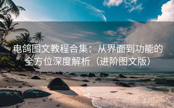 电鸽图文教程合集:从界面到功能的全方位深度解析(进阶图文版) 电鸽图文教程合集:从界面到功能的全方位深度解析(进阶图文版)