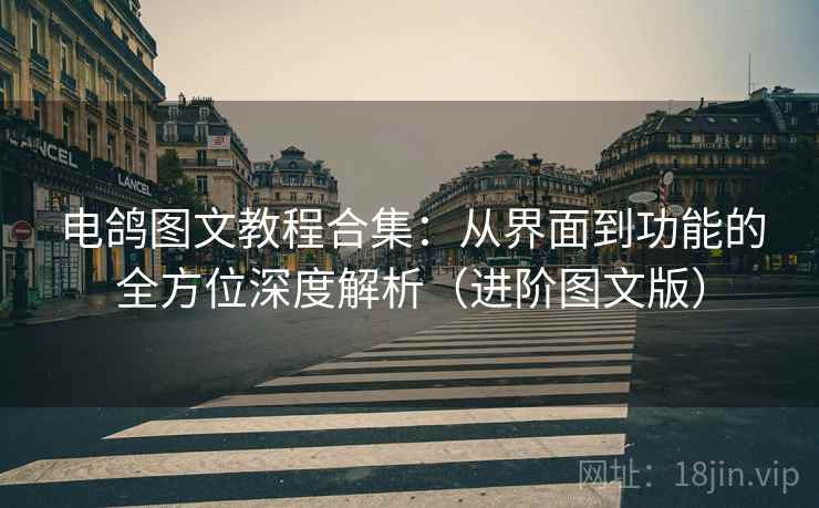 电鸽图文教程合集:从界面到功能的全方位深度解析(进阶图文版) 电鸽图文教程合集:从界面到功能的全方位深度解析(进阶图文版)