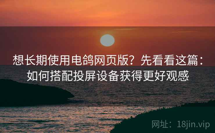 想长期使用电鸽网页版?先看看这篇:如何搭配投屏设备获得更好观感 想长期使用电鸽网页版?先看看这篇:如何搭配投屏设备获得更好观感